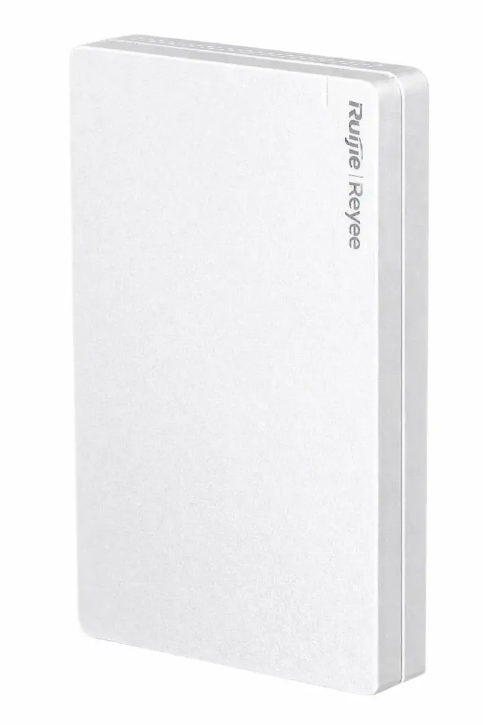 RG-RAP1260(Silver Cover)*10